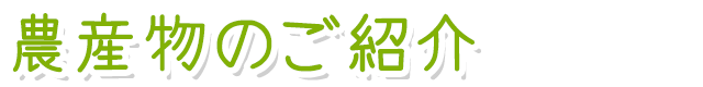 農産物のご紹介