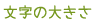 文字サイズ