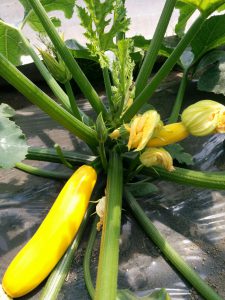 id-37_3_IMG_20160516_113849